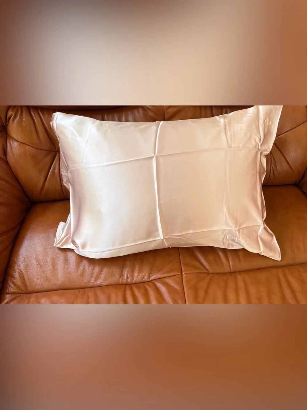 NWB 2 Pack Standard Silky Pillow Cases